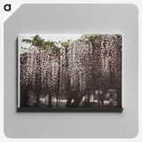 1-25_Ogawa-Kazumasa_canvas
