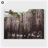 1-25_Ogawa-Kazumasa_picture-crop