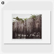 1-25_Ogawa-Kazumasa_picture