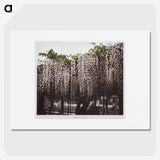 1-25_Ogawa-Kazumasa_picture