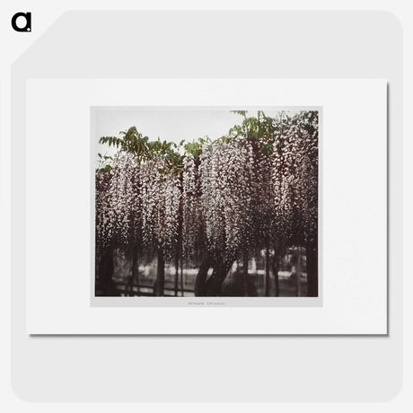 1-25_Ogawa-Kazumasa_picture
