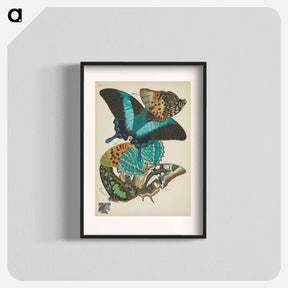 アートポスター-Vintage Butterflies
 - パピヨン Poster.