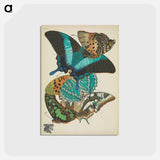 アートポストカード-Vintage Butterflies
 - パピヨン Postcard.