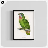 1-25_Parrots-in-Captivity_blk-crop