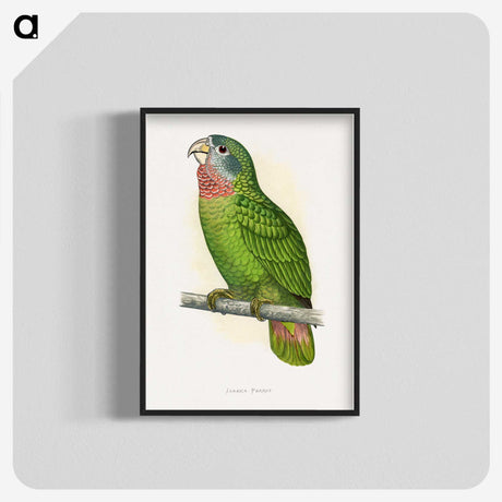 1-25_Parrots-in-Captivity_blk-crop