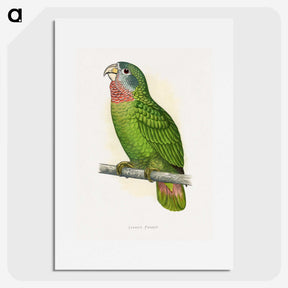 1-25_Parrots-in-Captivity_picture