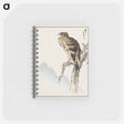 アートメモ帳-Black-eared Kite Illustration
 - 鳥類図鑑 Memo.