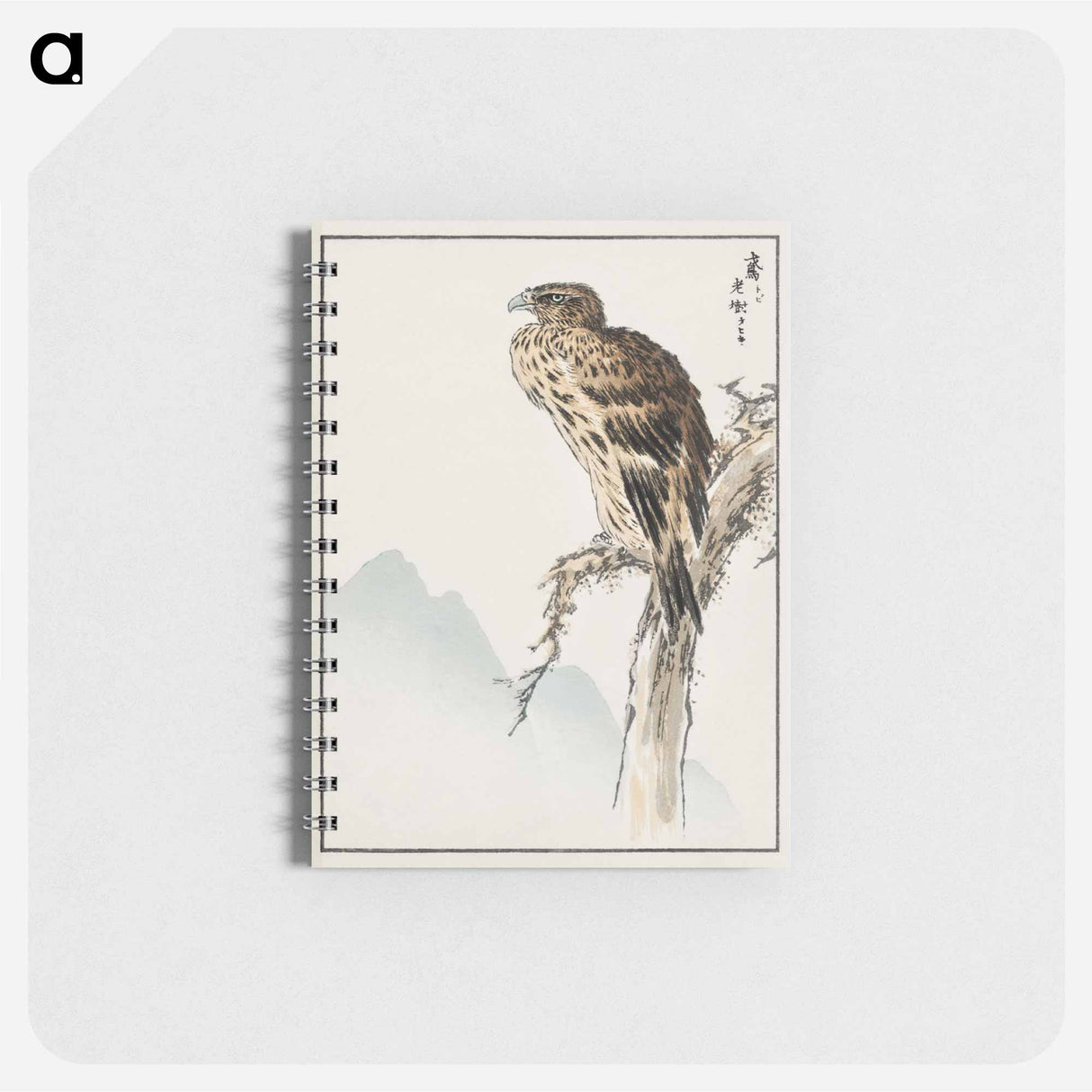 アートメモ帳-Black-eared Kite Illustration
 - 鳥類図鑑 Memo.