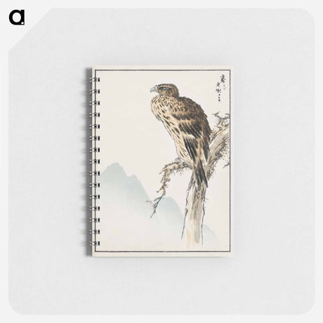アートメモ帳-Black-eared Kite Illustration
 - 鳥類図鑑 Memo.