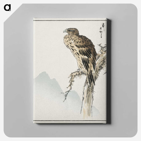 1-25_Pictorial-Monograph-of-Birds_canvas