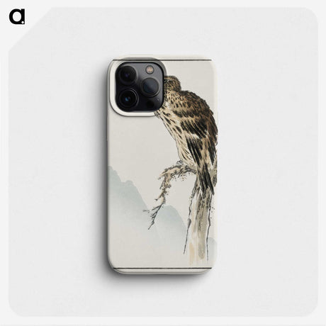 1-25_Pictorial-Monograph-of-Birds_phone