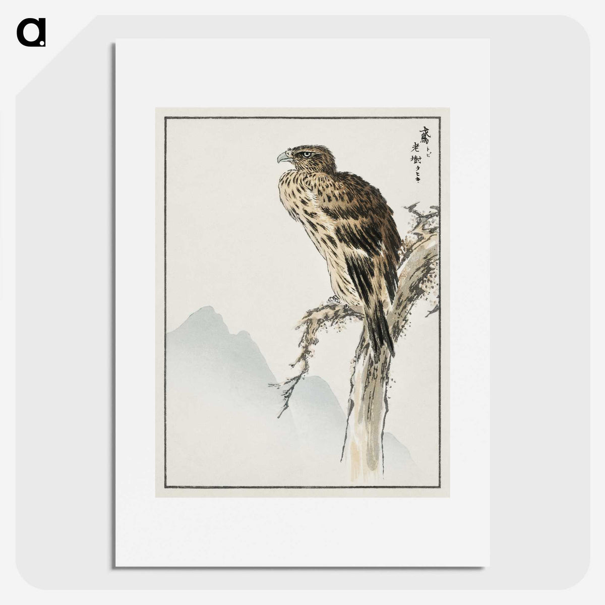 1-25_Pictorial-Monograph-of-Birds_picture