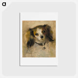 アートポストカード-Head of a Dog - ピエール オーギュスト ルノワール Postcard.