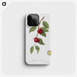 1-25_Pomona-Italiana_phone
