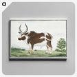 1-25_Robert-Jacob-Gordon_canvas