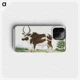 1-25_Robert-Jacob-Gordon_phone