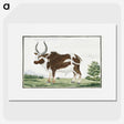 1-25_Robert-Jacob-Gordon_picture