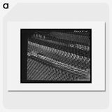 1-25_Russell-Lee_picture