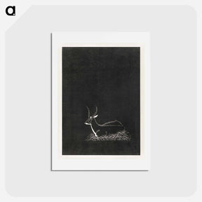 アートポストカード-Waterbuck
 - サミュエル ジェスルン Postcard.