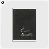 1-25_Samuel-Jessurun_postcard