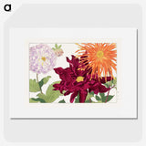 1-25_Seiyo-Soka-Zufu_picture