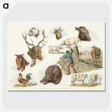 1-25_Sporting-Sketches_picture-crop
