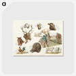 1-25_Sporting-Sketches_postcard