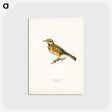 1-25_Svenska-Faglar_postcard