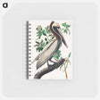 アートメモ帳-Brown Pelican from Birds of America
 - アメリカの鳥たち Memo.