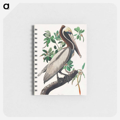 アートメモ帳-Brown Pelican from Birds of America
 - アメリカの鳥たち Memo.