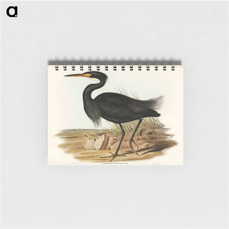 アートメモ帳-Sombre Egret
 - オーストラリアの鳥 Memo.