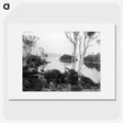 1-25_The-Burton-Brothers_picture