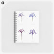 1-25_The-Genus-Iris_memo