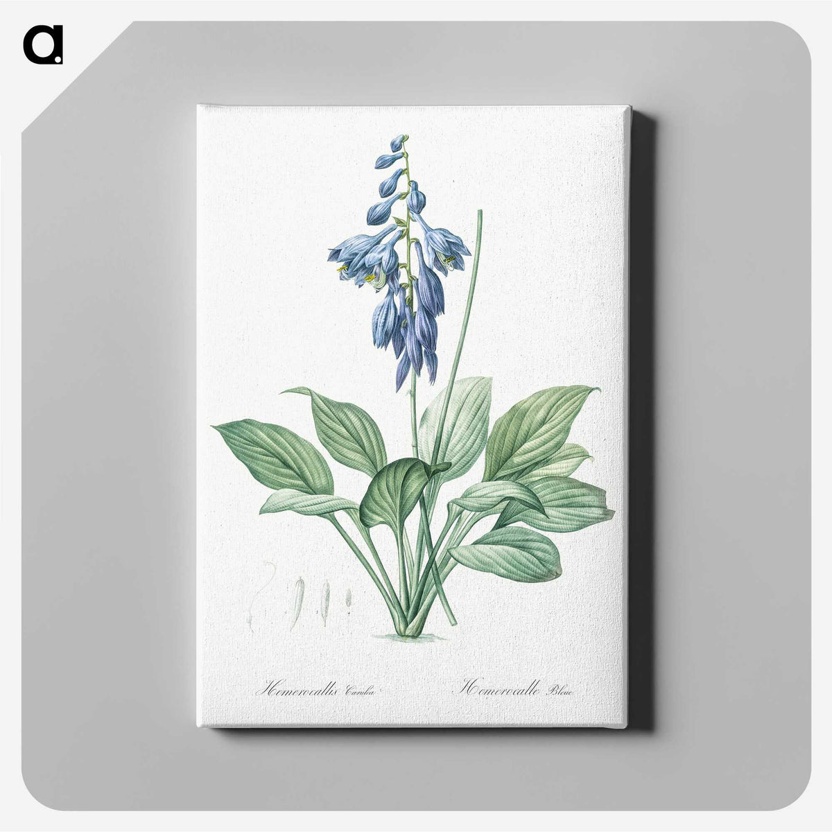 1-25_The-Lilies_canvas