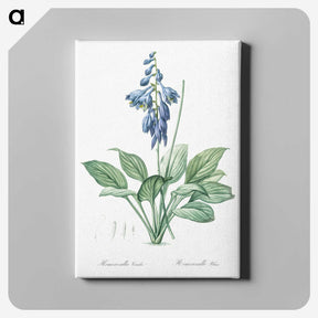 1-25_The-Lilies_canvas