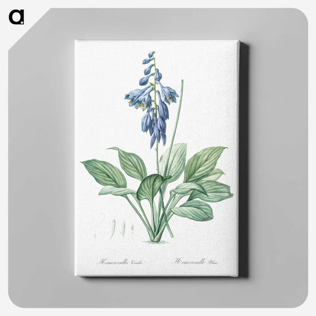 1-25_The-Lilies_canvas
