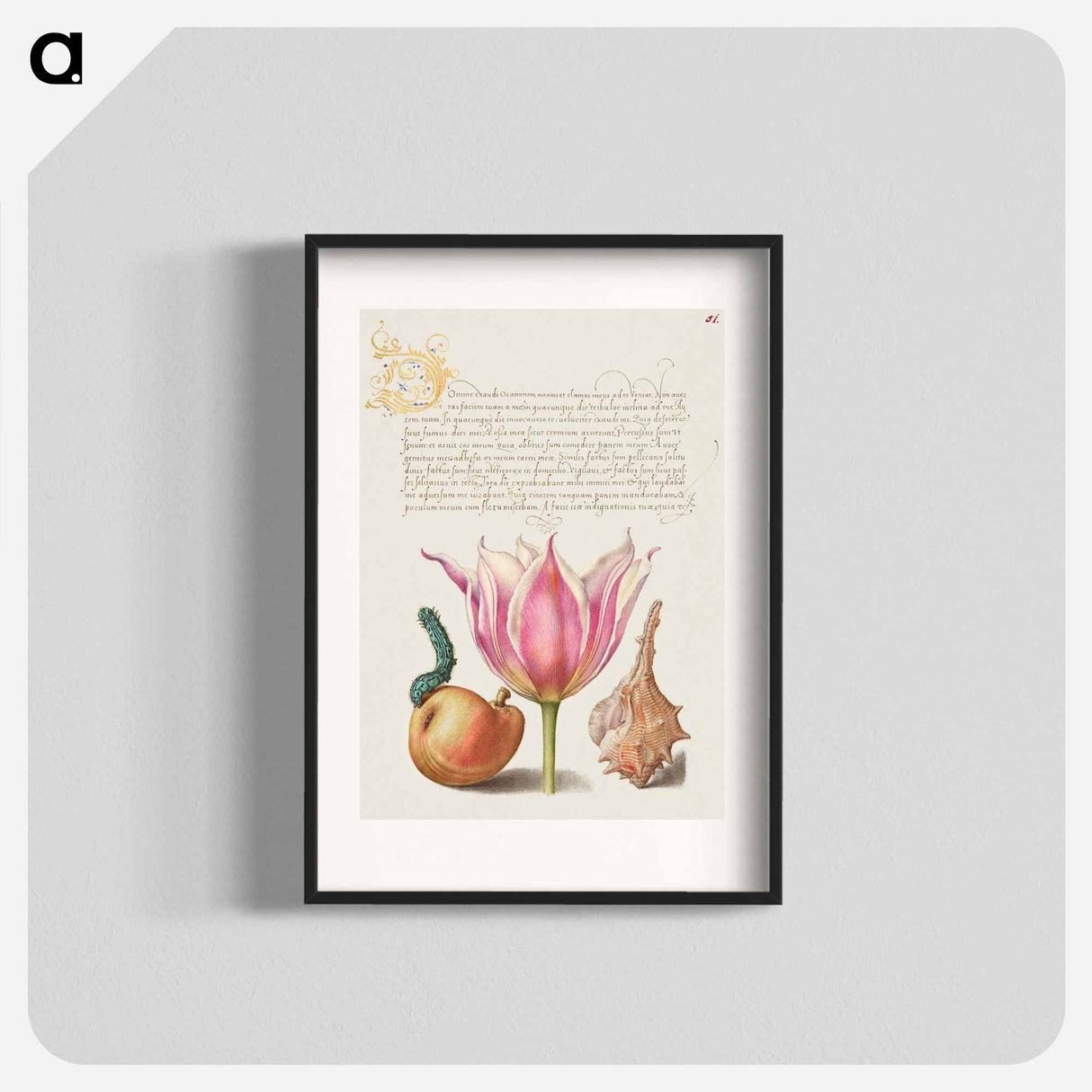 アートポスター-Caterpillar, Pear, Tulip, and Purple Snail
 - 書道のお手本 Poster.