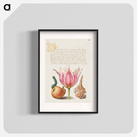 アートポスター-Caterpillar, Pear, Tulip, and Purple Snail
 - 書道のお手本 Poster.