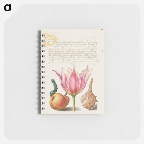 アートメモ帳-Caterpillar, Pear, Tulip, and Purple Snail
 - 書道のお手本 Memo.