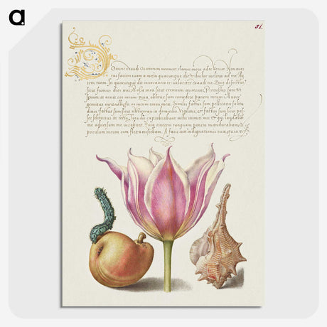 1-25_The-Model-Book-of-Calligraphy_picture-crop