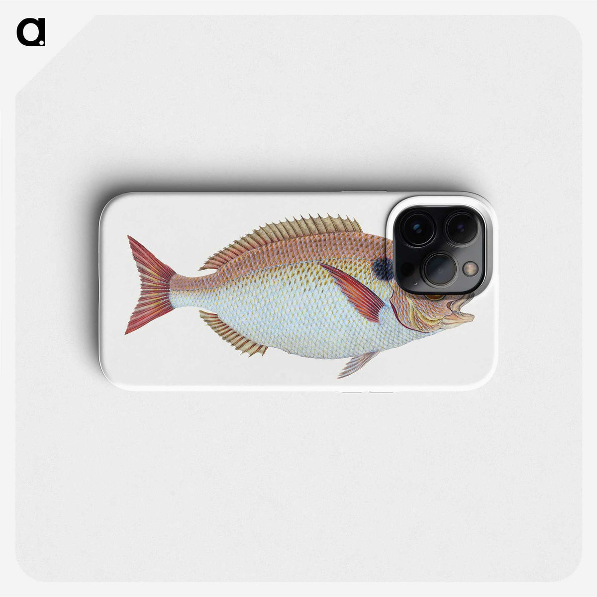 1-25_The-Natural-History-of-British-Fishes_phone