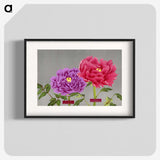 1-25_The-Picture-Book-of-Peonies_blk