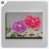 1-25_The-Picture-Book-of-Peonies_canvas