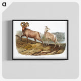1-25_The-Viviparous-Quadrupeds_blk-crop