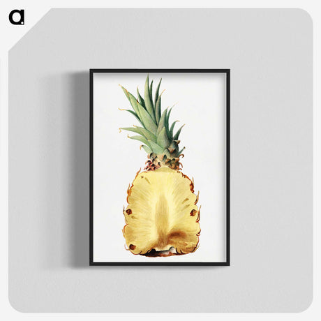 1-25_USDA-Watercolor-Fruit-Painting-Collection_blk-crop