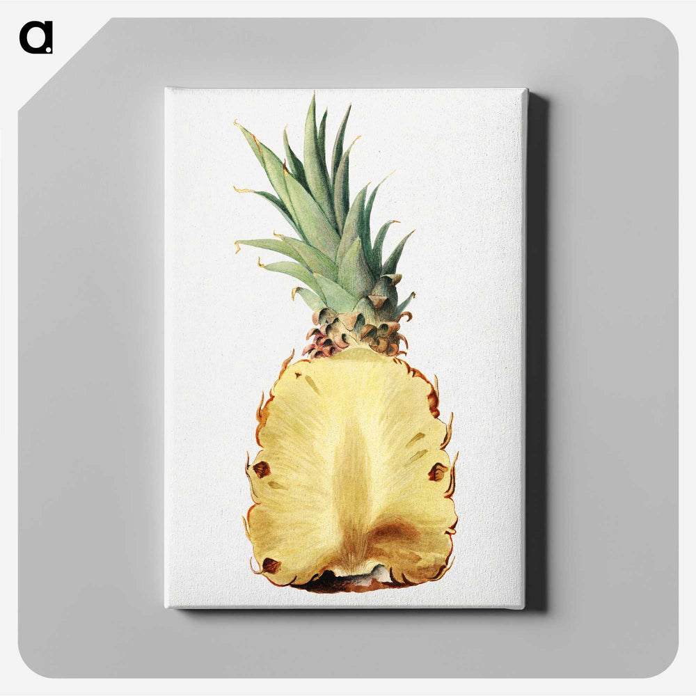 1-25_USDA-Watercolor-Fruit-Painting-Collection_canvas