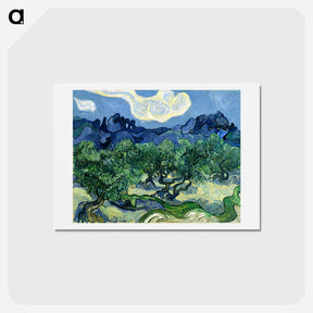 アートポストカード-Olive Trees with the Alpilles in the Background - フィンセント ファン ゴッホ Postcard.