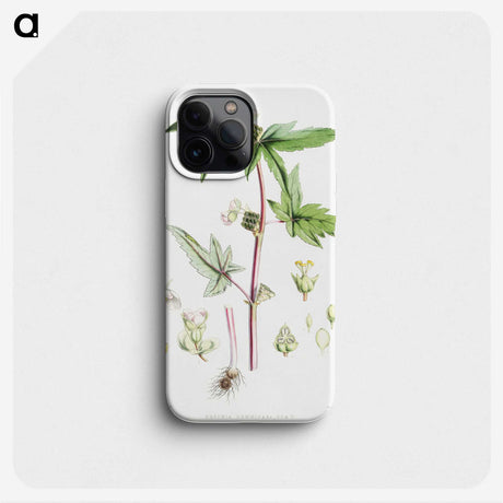 1-25_Walter-Hood-Fitch_phone