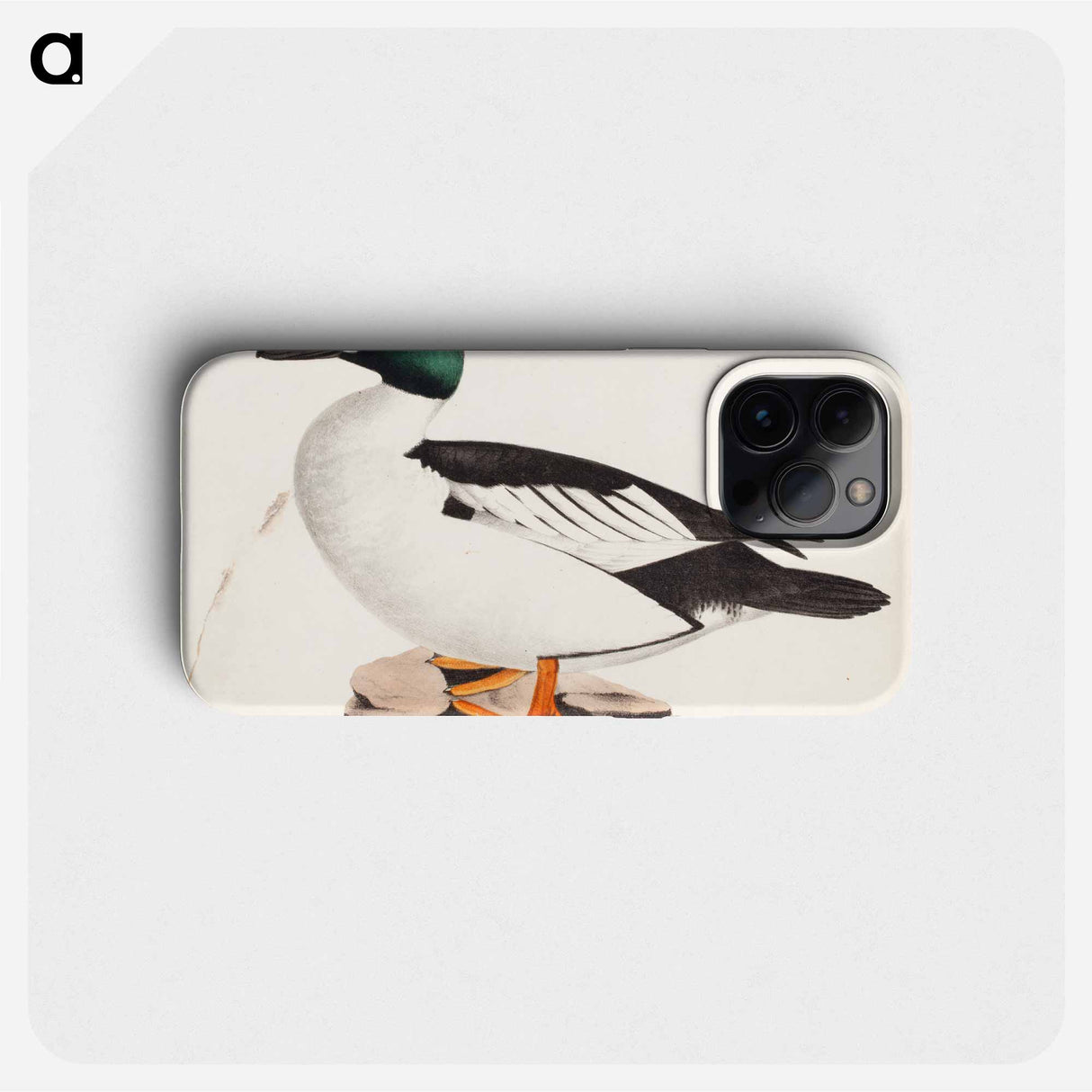 Male common goldeneye - Wilhelm von Wright Phone Case.