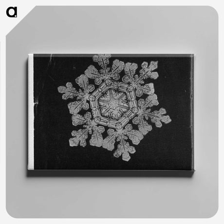 1-25_Wilson-Bentley_canvas
